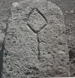 photo_1