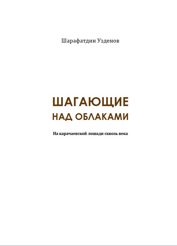 Описание изображения 1