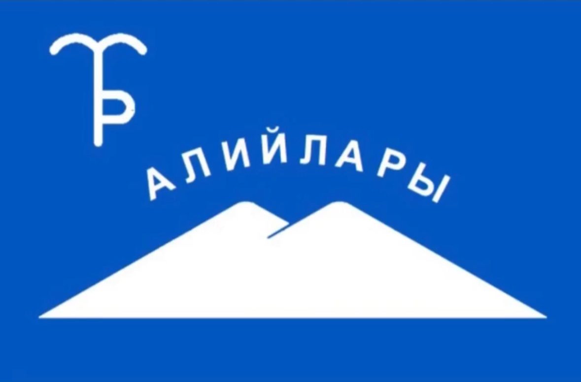 Описание изображения 1