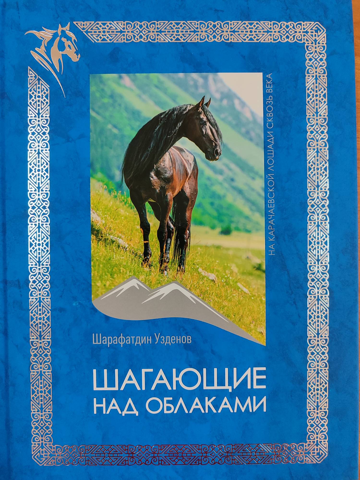 Описание изображения 1